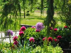 Frühlingserwachen-7