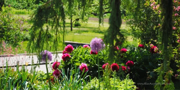 Frühlingserwachen-7