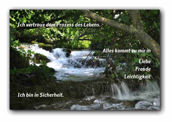 Ich vertraue dem Prozess des Lebens…