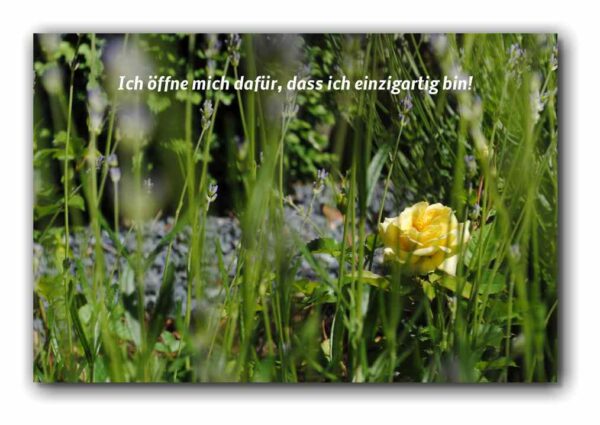 Ich öffne mich dafür, dass ich…