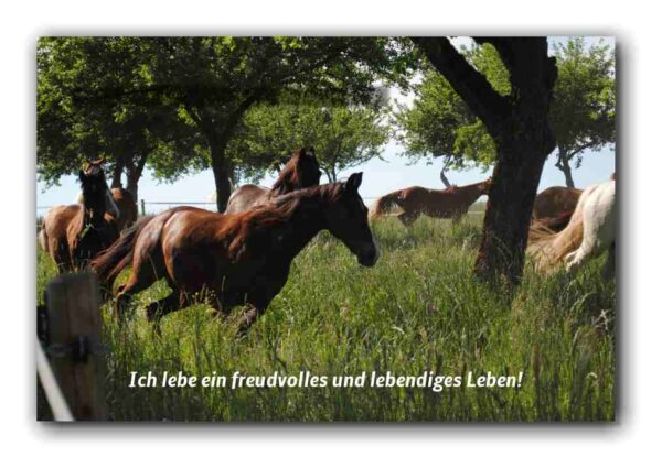 Ich lebe ein freudvolles und…