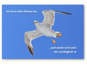 Ich lasse altes Drama los…