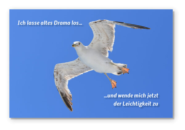 Ich lasse altes Drama los…