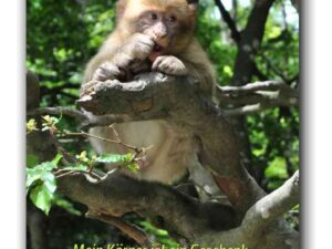 Mein Körper ist ein Geschenk…