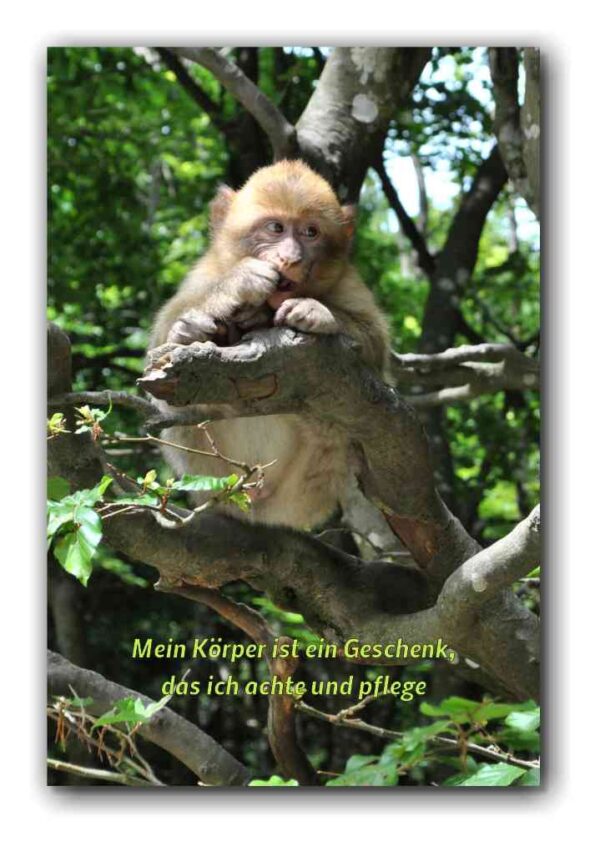 Mein Körper ist ein Geschenk…