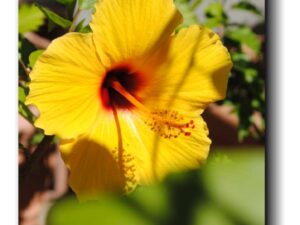 Ich entscheide mich für ein Leben…