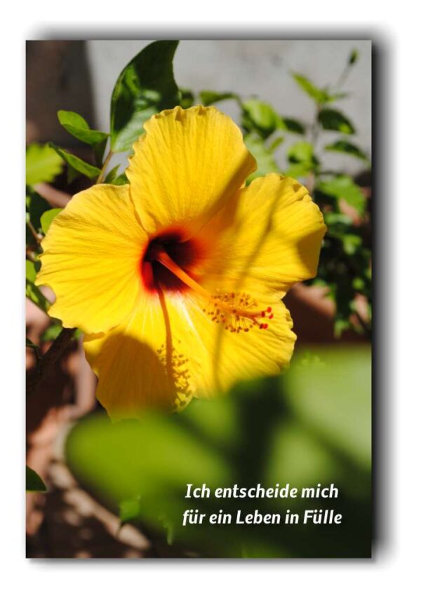 Ich entscheide mich für ein Leben…