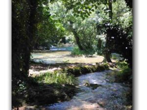 Ich begebe mich gerne in den Fluss…