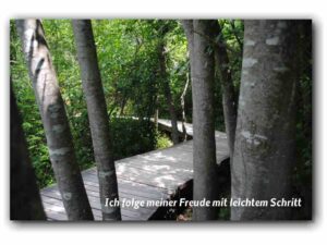 Ich folge meiner Freude…