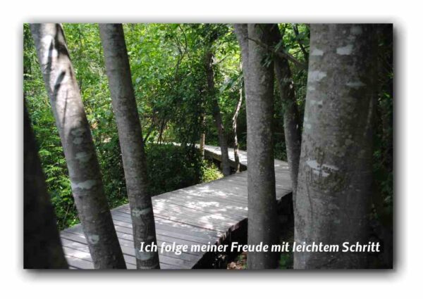 Ich folge meiner Freude…