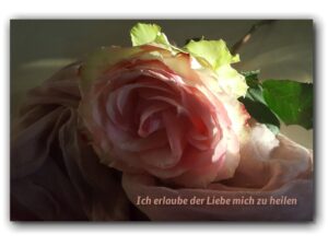 Ich erlaube der Liebe mich…