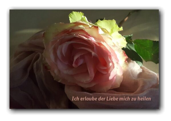 Ich erlaube der Liebe mich…