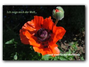 Ich zeige mich der Welt und…