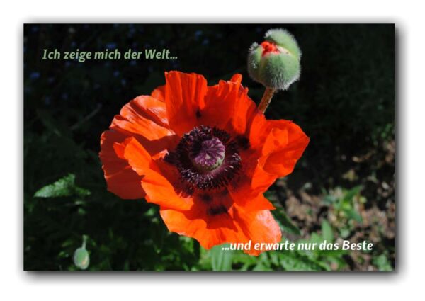 Ich zeige mich der Welt und…