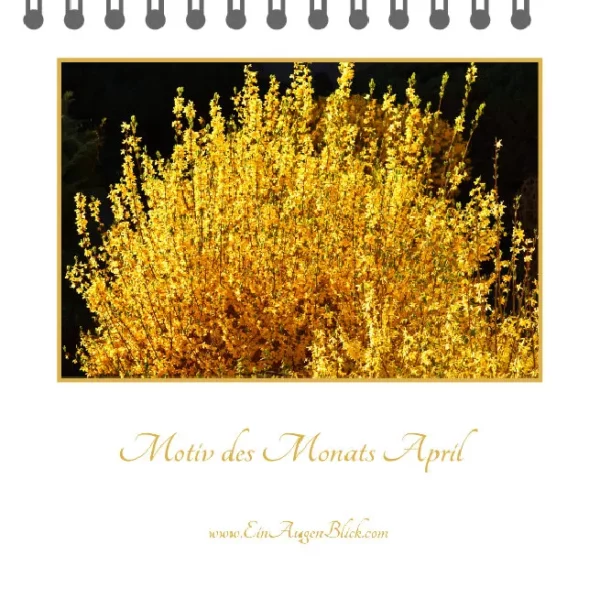 Motiv des Monats-Mini - 2023 – Bild 4