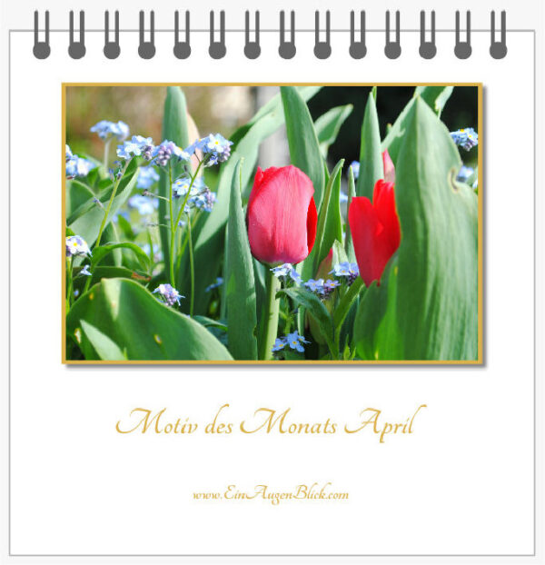 Motiv des Monats-Mini – Bild 5