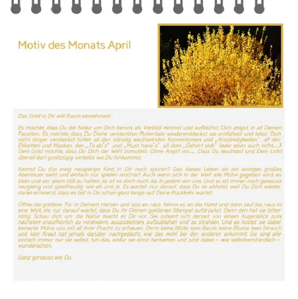 Motiv des Monats-Mini - 2023 – Bild 5