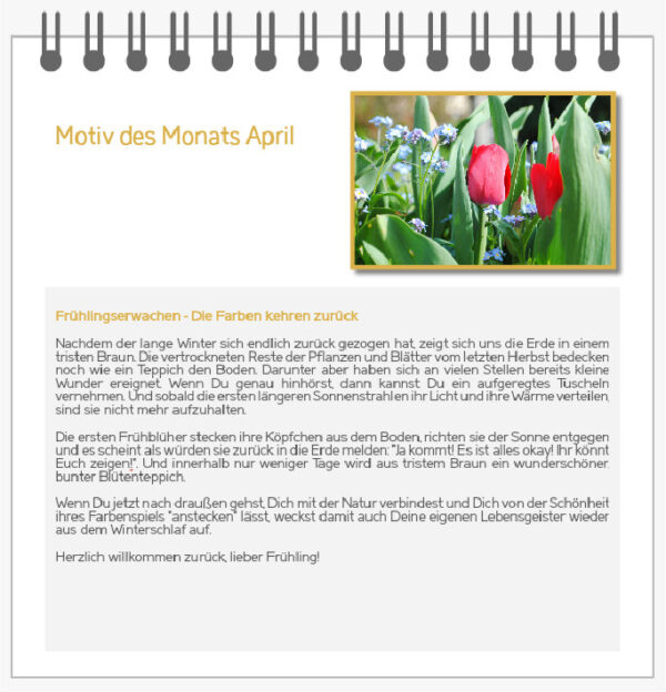 Motiv des Monats-Mini – Bild 4