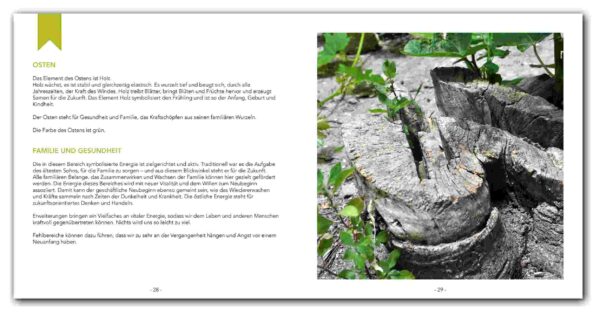 Feng-Shui<br /><span class="klein">Fotografie trifft Energie in Harmonie</span> – Bild 5