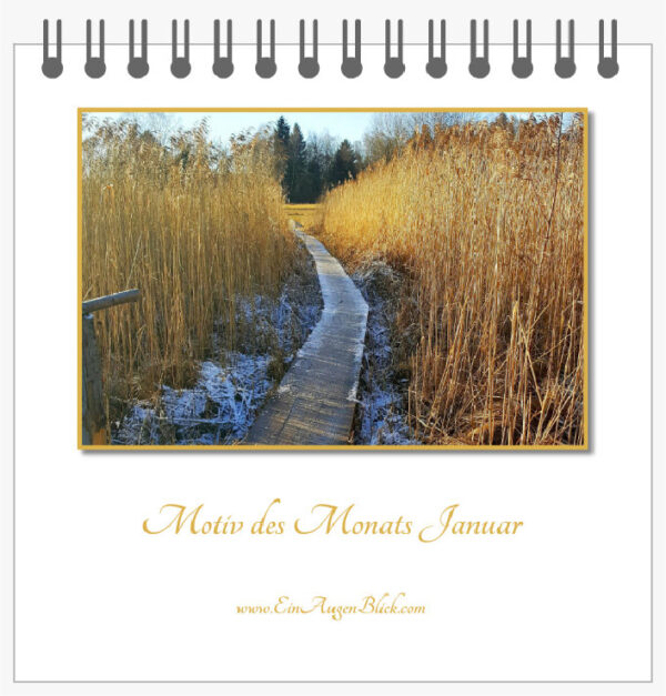 Motiv des Monats-Mini – Bild 3