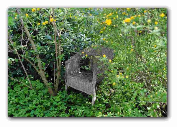 Kleines Handgepäck für die Seele – Bild 4