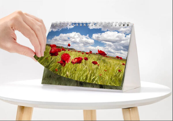 Motiv des Monats-Mini – Bild 9