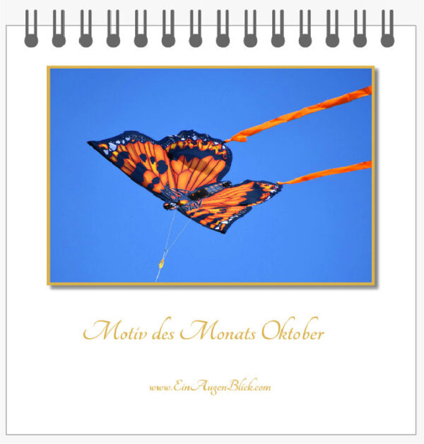 Motiv des Monats-Mini – Bild 7