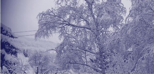 Rauhnächte-Begleitung 2024/25 – Bild 4